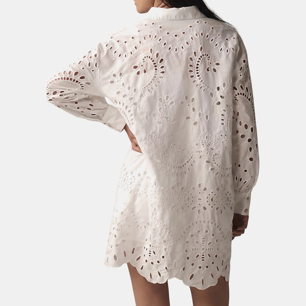 Women's Button Front Eyelet Embroidered Mini Dress
